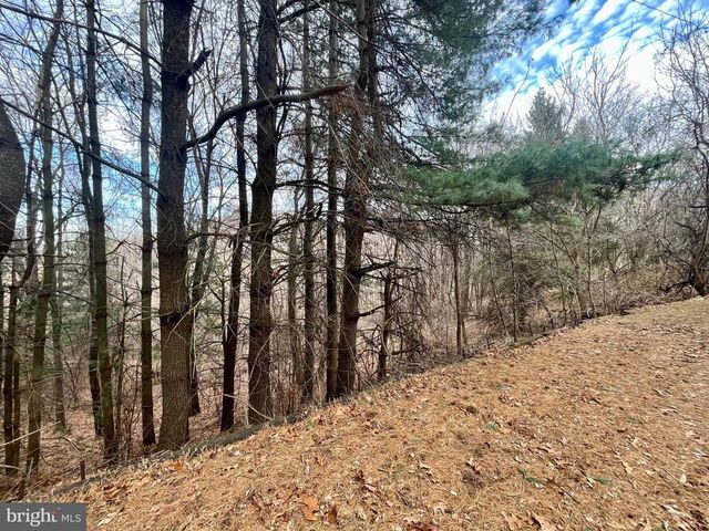 347 RESTMORE LN, Stanley, VA 22851