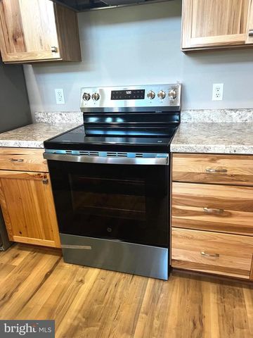 2066 DISPANET RD, Mathias, WV 26812