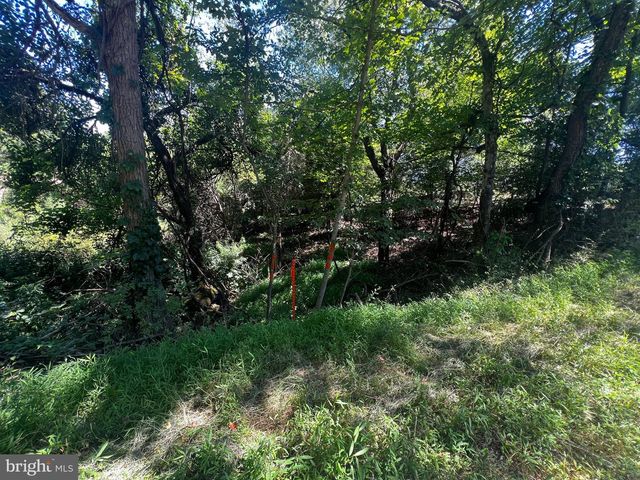 2066 DISPANET RD, Mathias, WV 26812