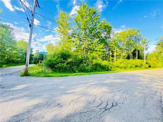 0 Sycamore Street, Evans, NY 14006