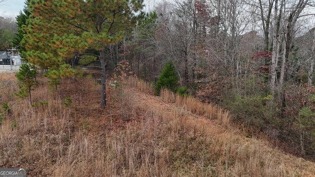 950 Hancock Road, Demorest, GA 30535