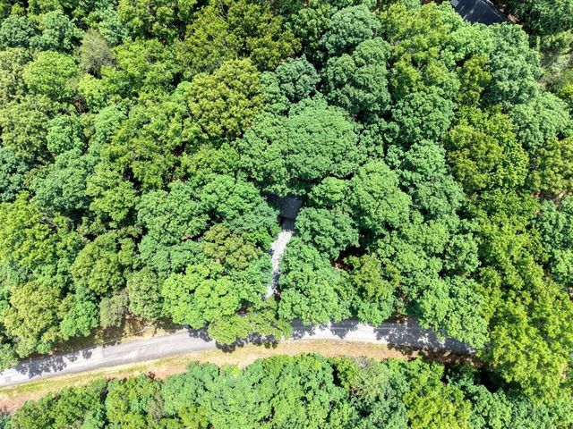 927 Paul Nicholson Road, Blairsville, GA 30512
