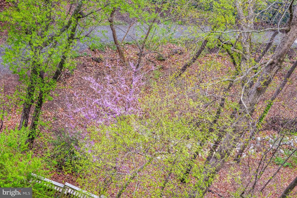 Image 10 of property listing at 5904 MOUNT EAGLE DR #718, Alexandria, VA 22303