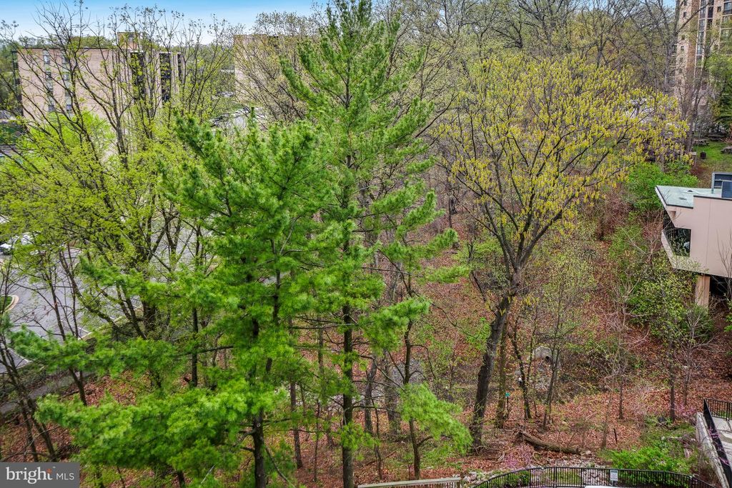Image 26 of property listing at 5904 MOUNT EAGLE DR #718, Alexandria, VA 22303