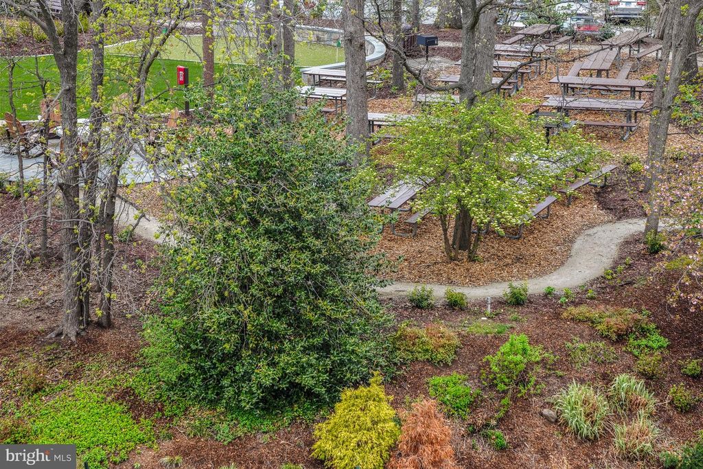 Image 27 of property listing at 5904 MOUNT EAGLE DR #718, Alexandria, VA 22303