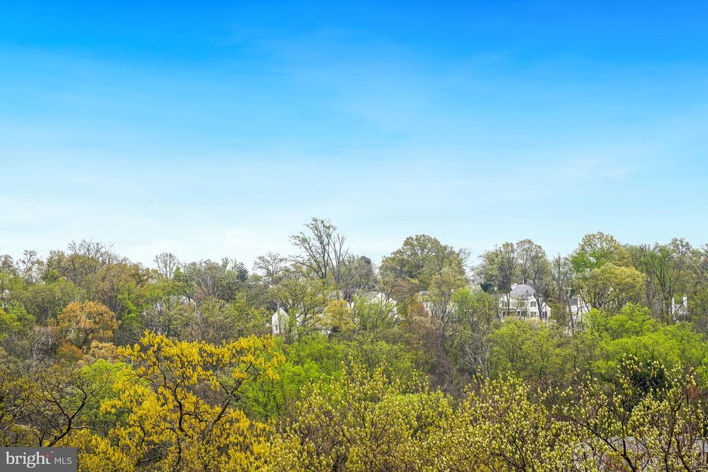 Image 8 of property listing at 5904 MOUNT EAGLE DR #718, Alexandria, VA 22303