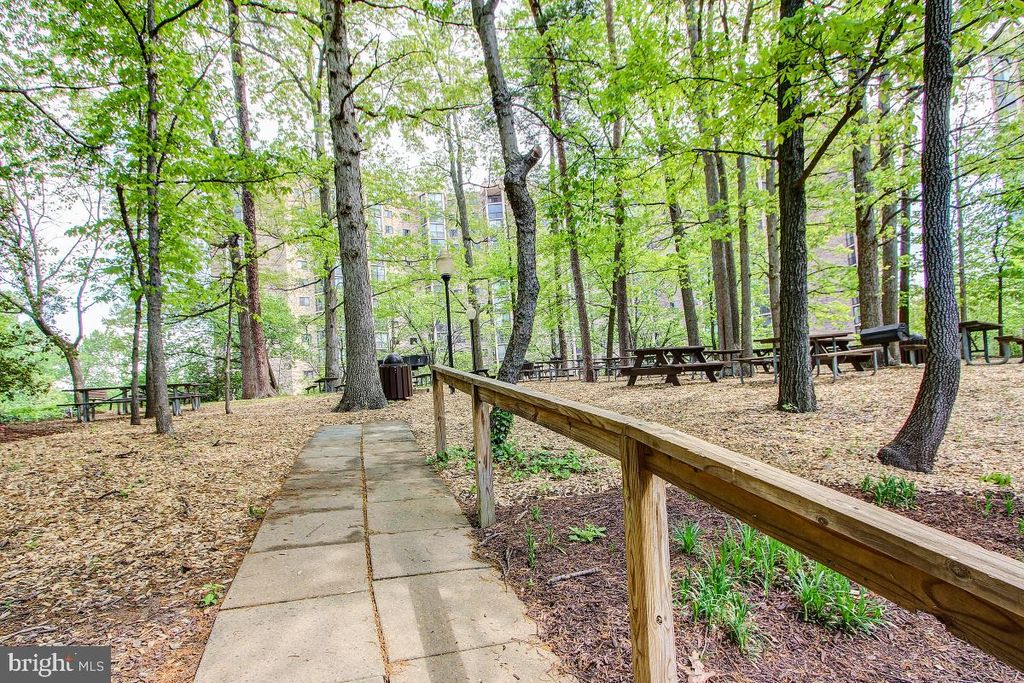 Image 85 of property listing at 5904 MOUNT EAGLE DR #718, Alexandria, VA 22303