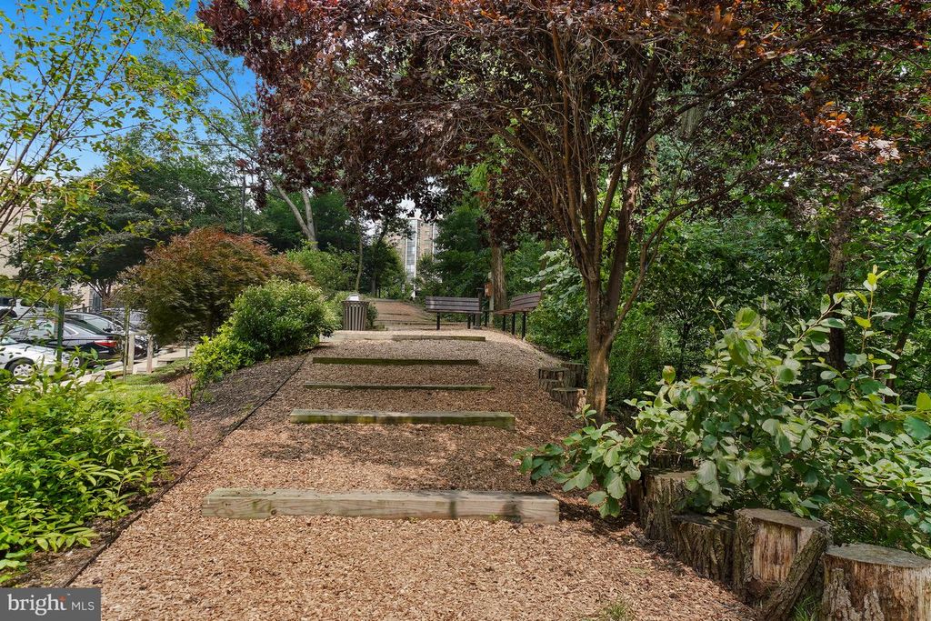 Image 88 of property listing at 5904 MOUNT EAGLE DR #718, Alexandria, VA 22303