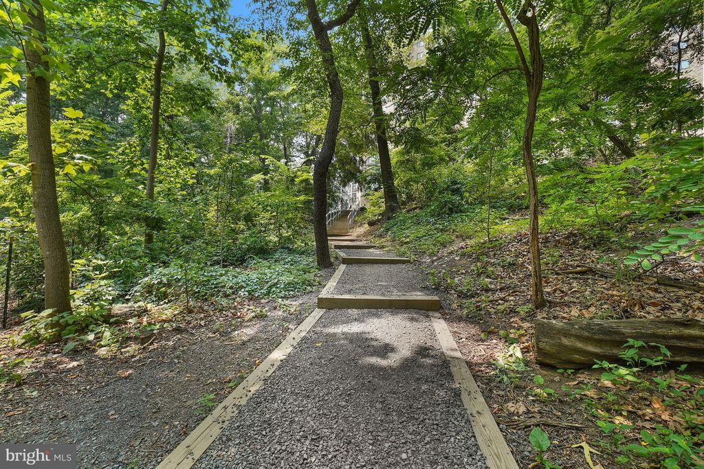 Image 93 of property listing at 5904 MOUNT EAGLE DR #718, Alexandria, VA 22303