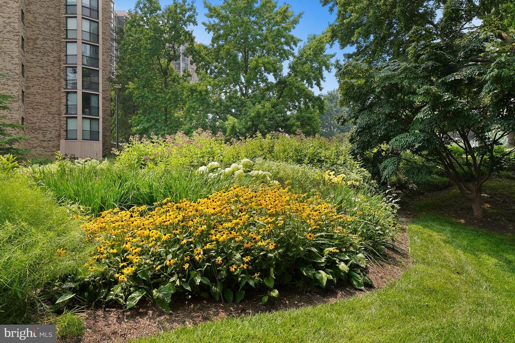 Image 95 of property listing at 5904 MOUNT EAGLE DR #718, Alexandria, VA 22303
