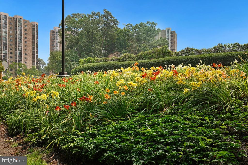 Image 96 of property listing at 5904 MOUNT EAGLE DR #718, Alexandria, VA 22303