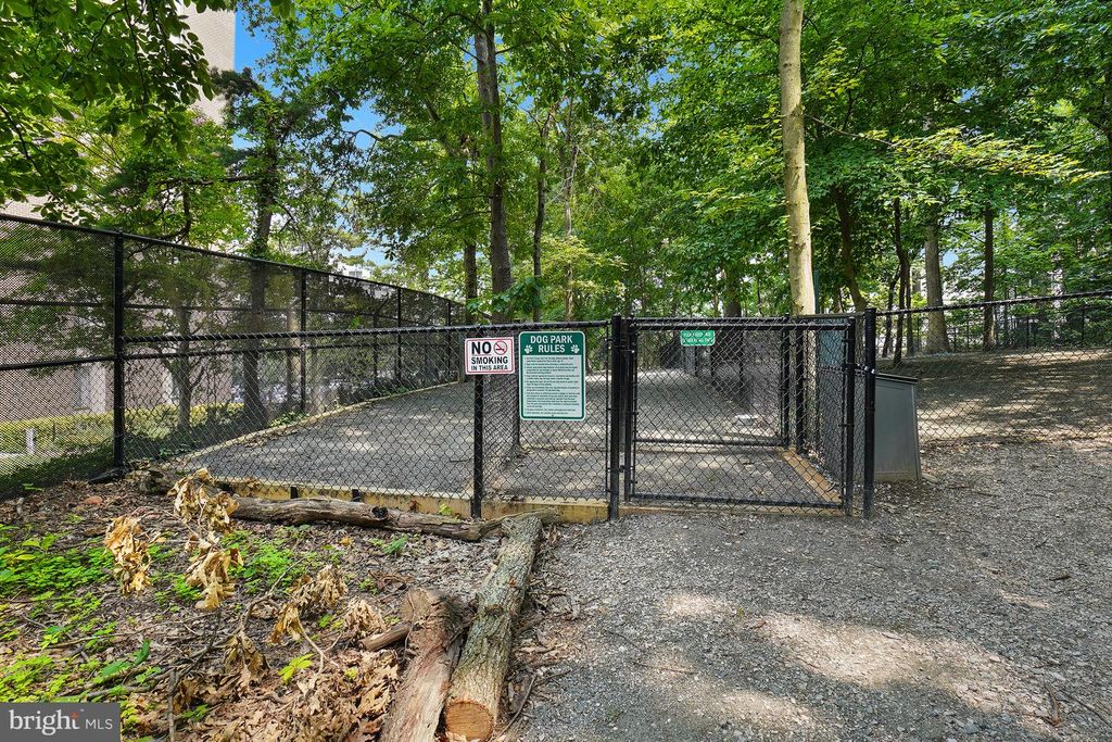 Image 98 of property listing at 5904 MOUNT EAGLE DR #718, Alexandria, VA 22303