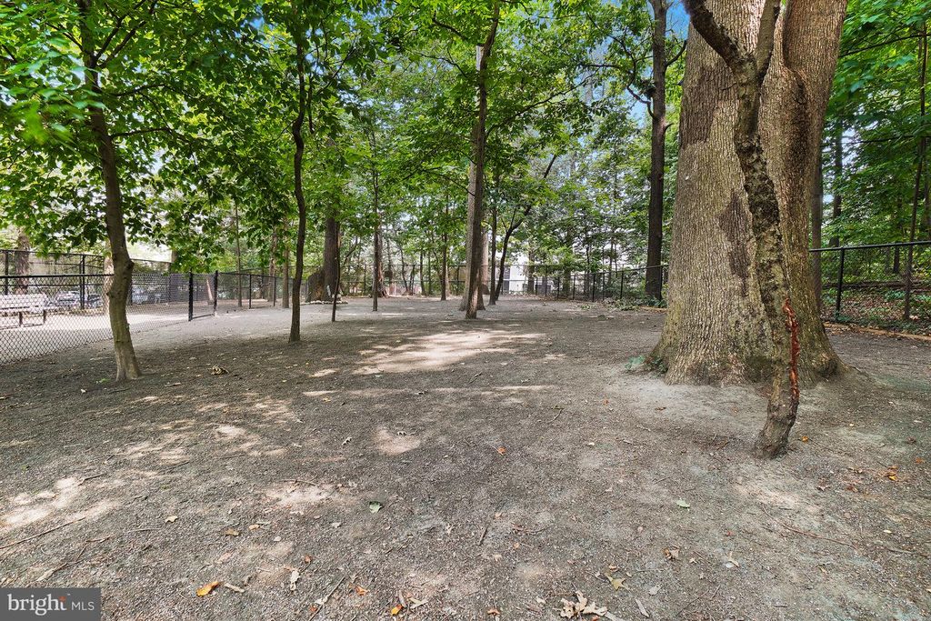 Image 99 of property listing at 5904 MOUNT EAGLE DR #718, Alexandria, VA 22303