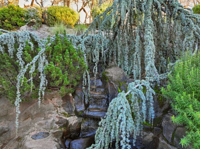 18936 Hummingbird Dr, Penn Valley, CA 95946