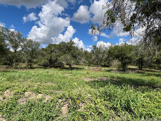 LOT 3 497 County Rd 124, Floresville, TX 78112