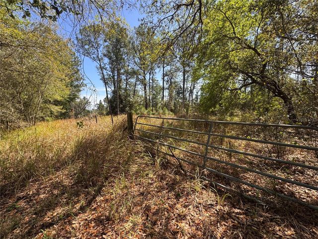 COFFEE CREEK LANE, Groveland, FL 34736