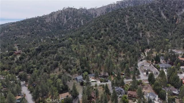 5411 Shirley J, Wrightwood, CA 92397