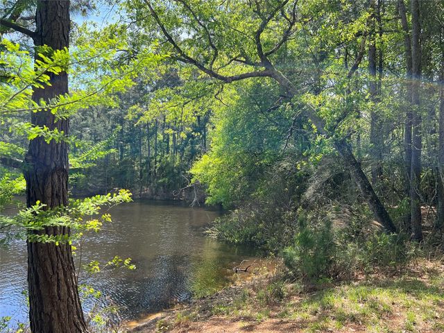 9296 County Road 302, Plantersville, TX 77363