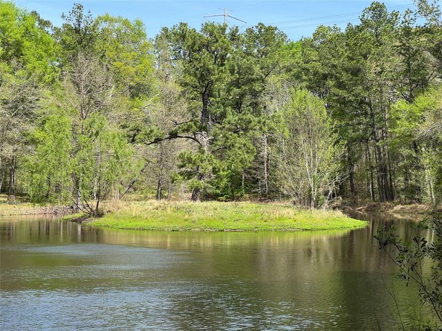 9296 County Road 302, Plantersville, TX 77363