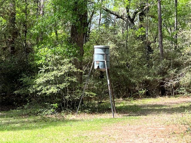 9296 County Road 302, Plantersville, TX 77363