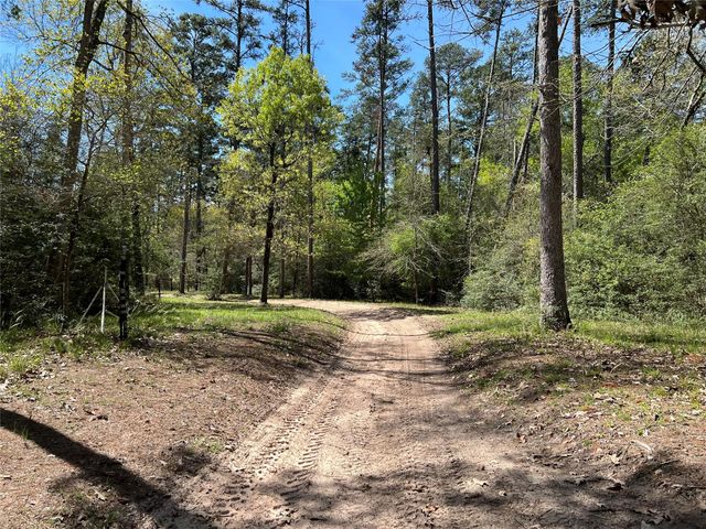 9296 County Road 302, Plantersville, TX 77363