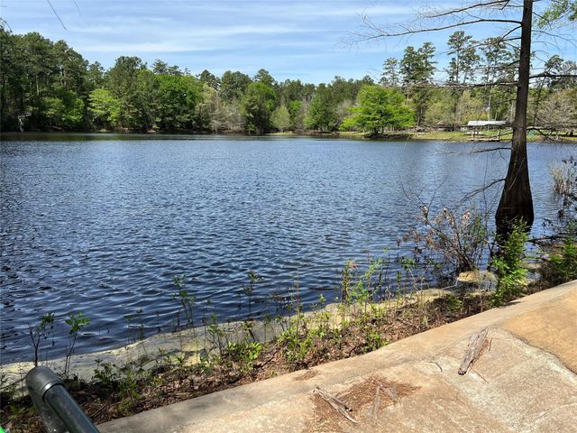 9296 County Road 302, Plantersville, TX 77363