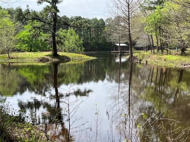 9296 County Road 302, Plantersville, TX 77363
