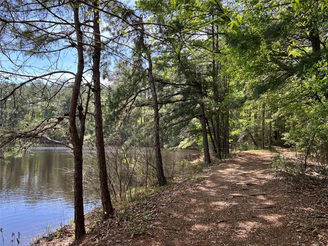 9296 County Road 302, Plantersville, TX 77363