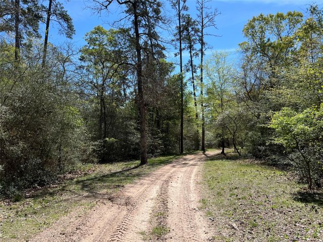 9296 County Road 302, Plantersville, TX 77363