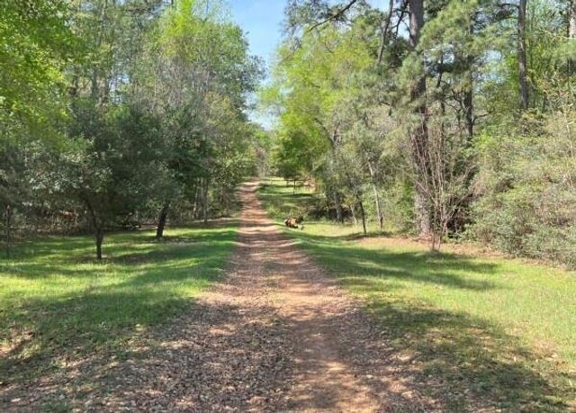 9296 County Road 302, Plantersville, TX 77363