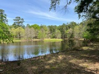 9296 County Road 302, Plantersville, TX 77363