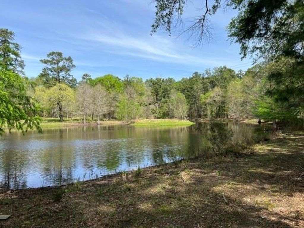 9296 County Road 302, Plantersville, TX 77363