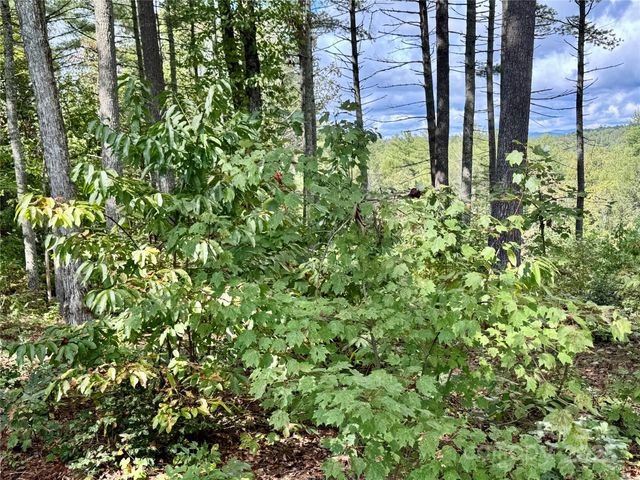 2088 Thoroughbred Way Lot G25, Lenoir, NC 28645