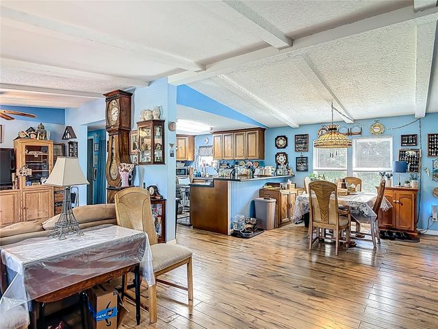 1501 ASHBY CREEK ROAD, Osteen, FL 32764