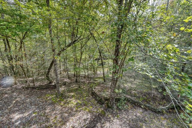 307 Mountain Creek Road, Blue Ridge, GA 30513