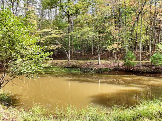 307 Mountain Creek Road, Blue Ridge, GA 30513