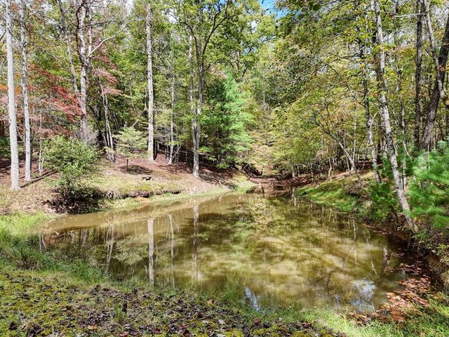 307 Mountain Creek Road, Blue Ridge, GA 30513