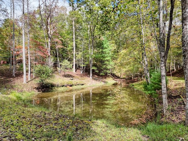 307 Mountain Creek Road, Blue Ridge, GA 30513
