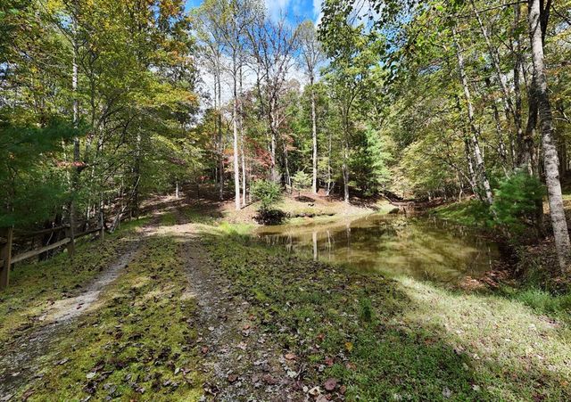 307 Mountain Creek Road, Blue Ridge, GA 30513