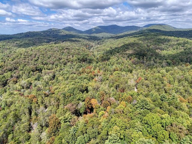 307 Mountain Creek Road, Blue Ridge, GA 30513