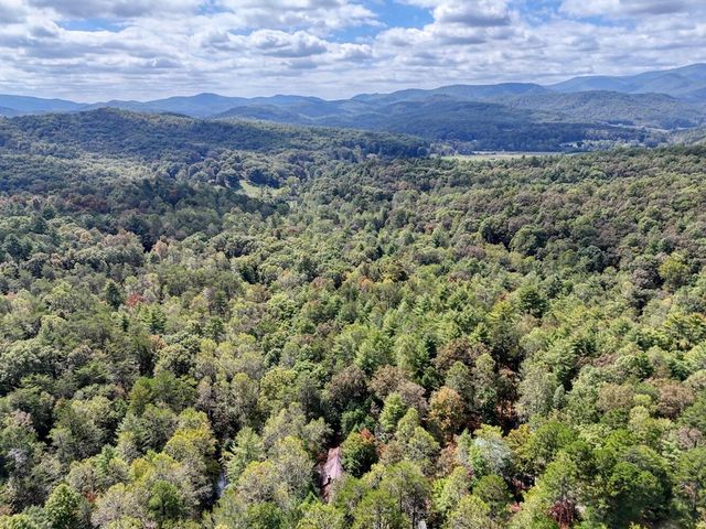 307 Mountain Creek Road, Blue Ridge, GA 30513