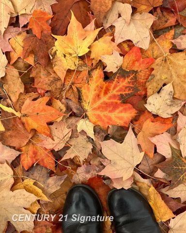 2140 Painted Post Drive, Flint Twp, MI 48433