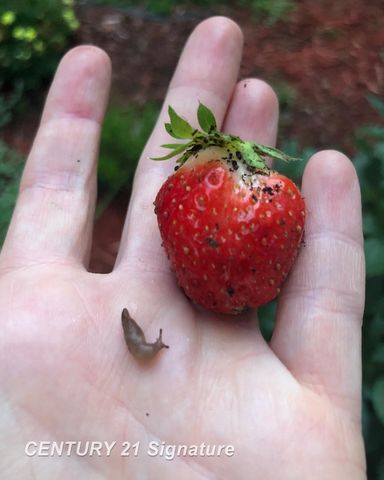 2140 Painted Post Drive, Flint Twp, MI 48433