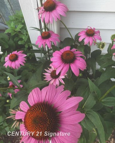 2140 Painted Post Drive, Flint Twp, MI 48433