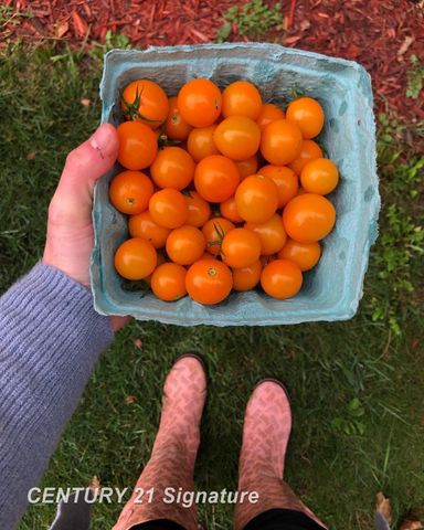 2140 Painted Post Drive, Flint Twp, MI 48433