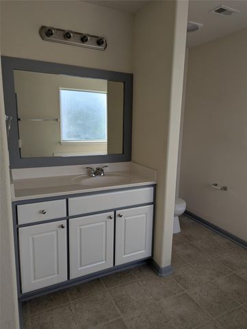 3919 Hollow Cove Lane, Richmond, TX 77469