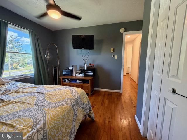 2817 PAPERMILL RD, Winchester, VA 22601