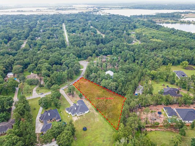 18332 Wisp Willow Way, Porter, TX 77365