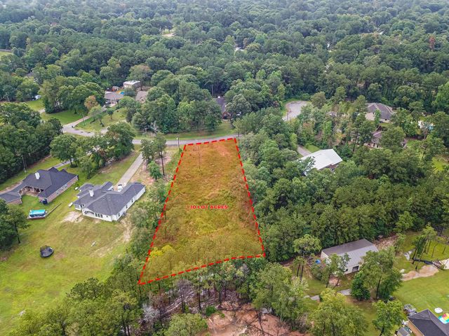 18332 Wisp Willow Way, Porter, TX 77365