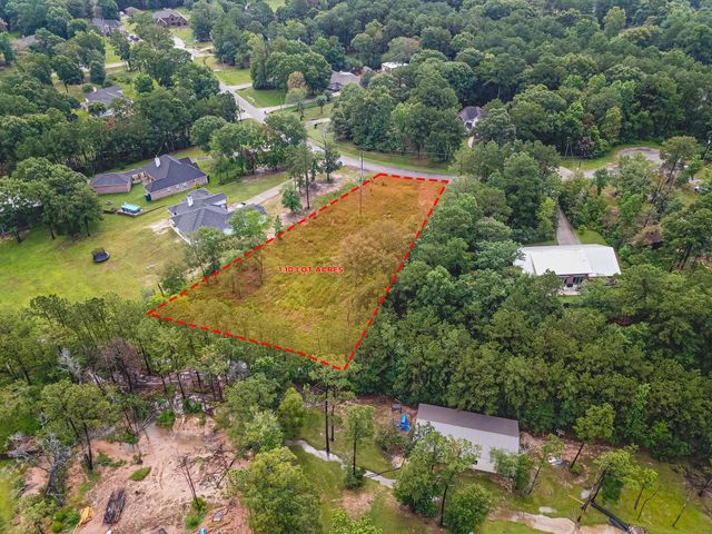 18332 Wisp Willow Way, Porter, TX 77365